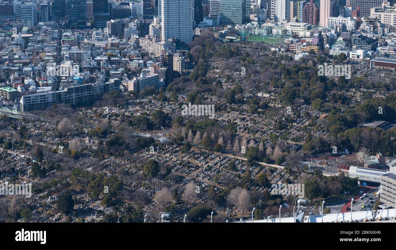 Panorama del cimitero di Tokyo dalle colline di Roppongi, Tokyo, Giappone Foto Stock