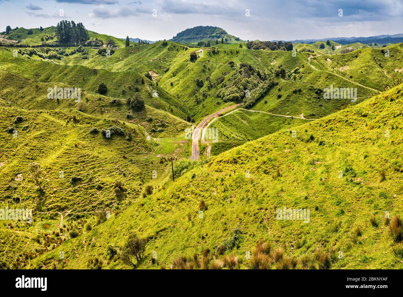 Vista da Tahora Saddle, vecchi binari ferroviari, Forgotten World Highway (SH43), Manawatu-Wanganui Regione, Isola del Nord, Nuova Zelanda Foto Stock