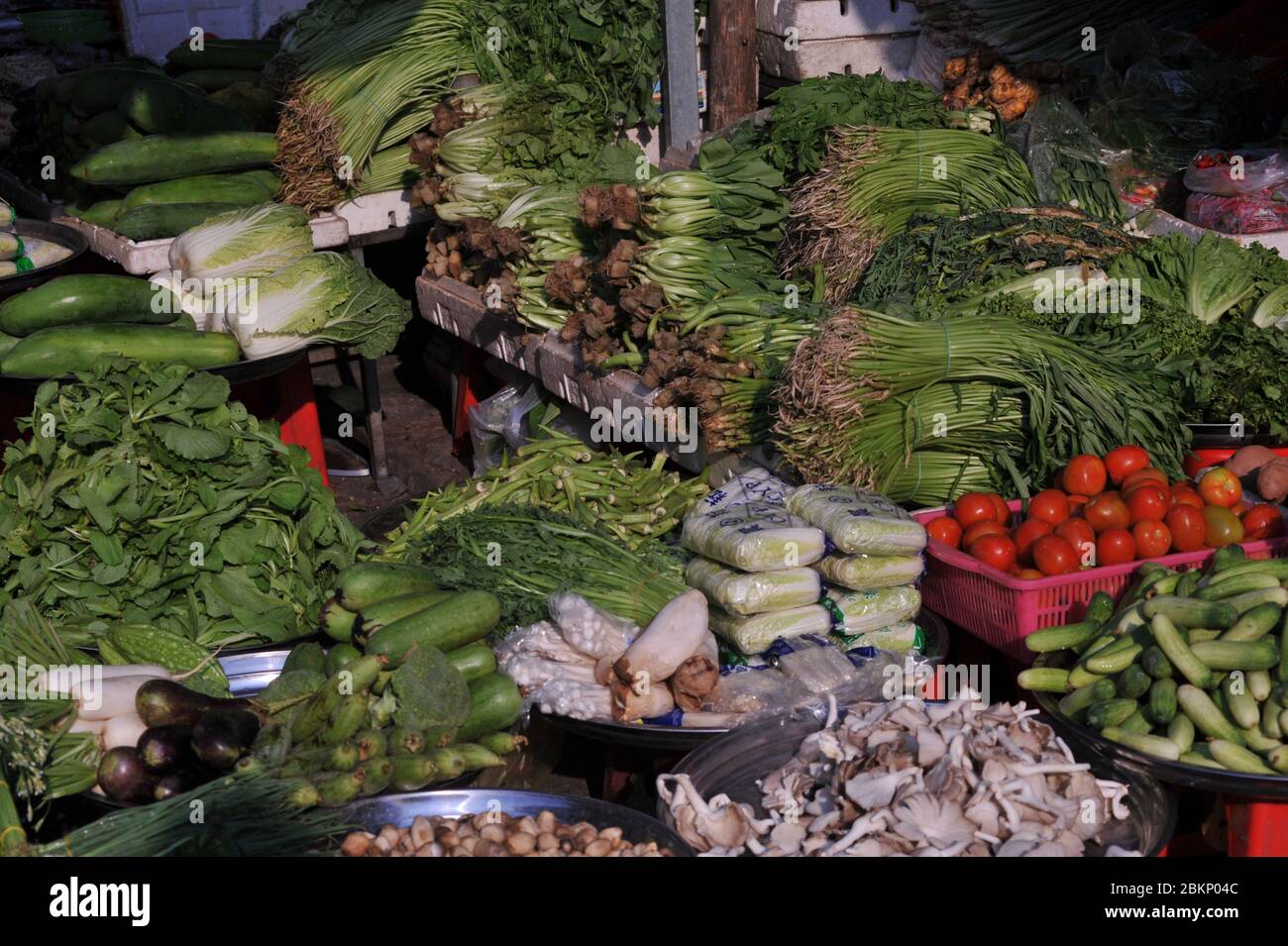 Esposizione di verdure al sole con pomodori, cavolo e verdure verdi a foglia al mercato russo, Phnom Penh, Cambogia. Credit: Kraig Lieb Foto Stock