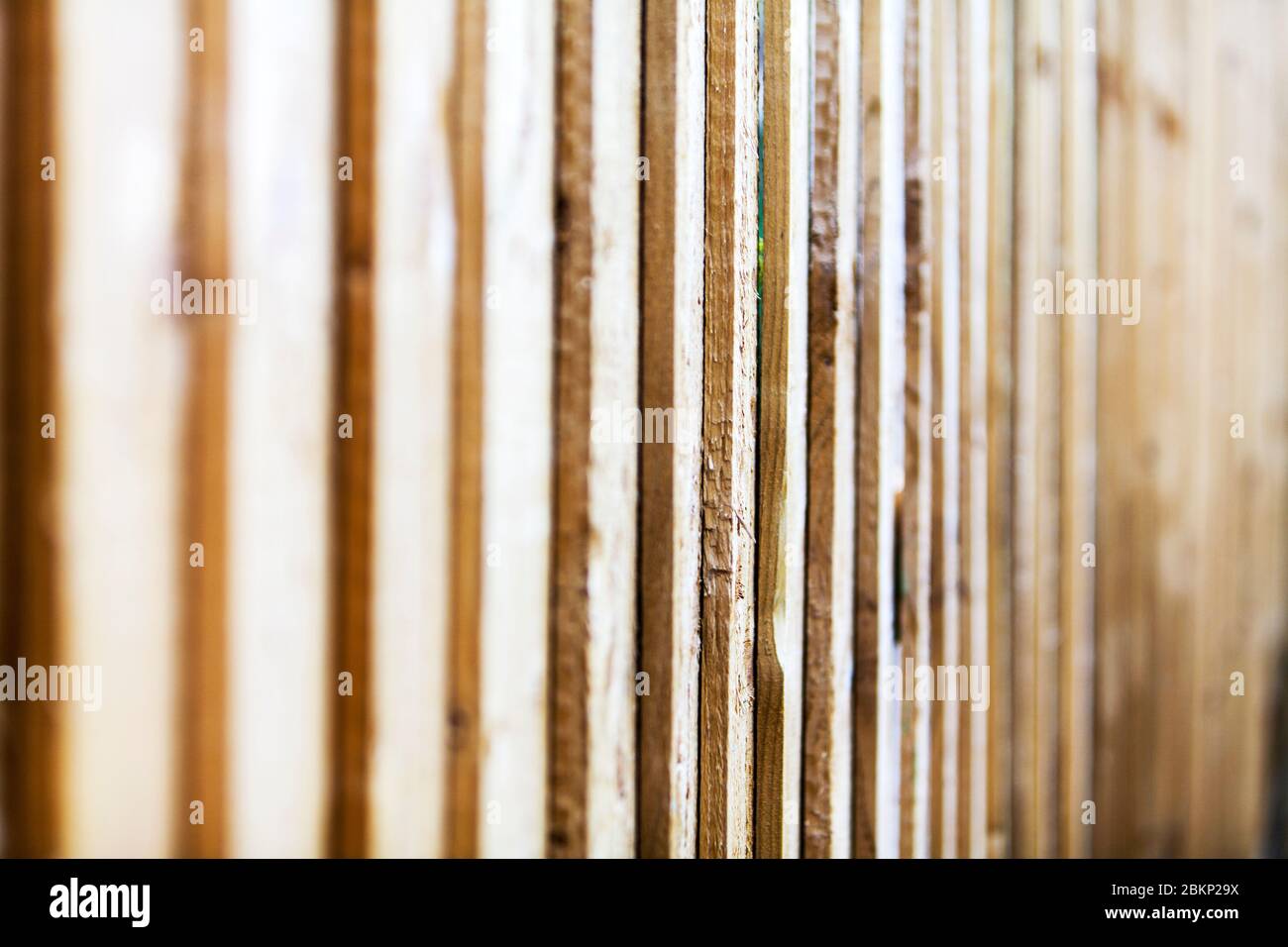 Pannello di recinzione a bordo piuma, recinzione a bordo piuma, pannello, recinzione a bordo piuma, recinzione a bordo, recinzione a bordo piuma, recinzioni, recinzione in legno, legno, Foto Stock