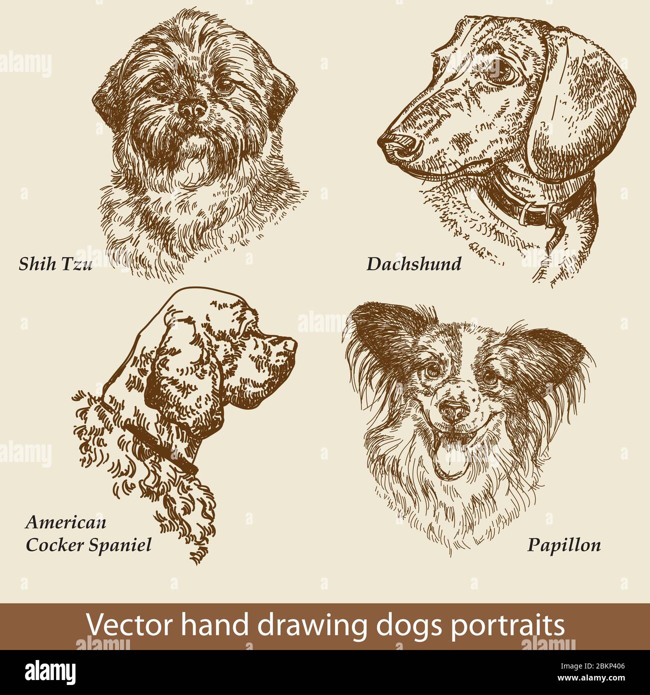 Set Di Disegno Manuale Di Un Carino Cani Razze Testa Dei Cani Isolata Su Sfondo Beige Matita Inchiostro Mano Disegnato Ritratto Realistico Raccolta Di Animali Ottimo Per Immagine E Vettoriale Alamy