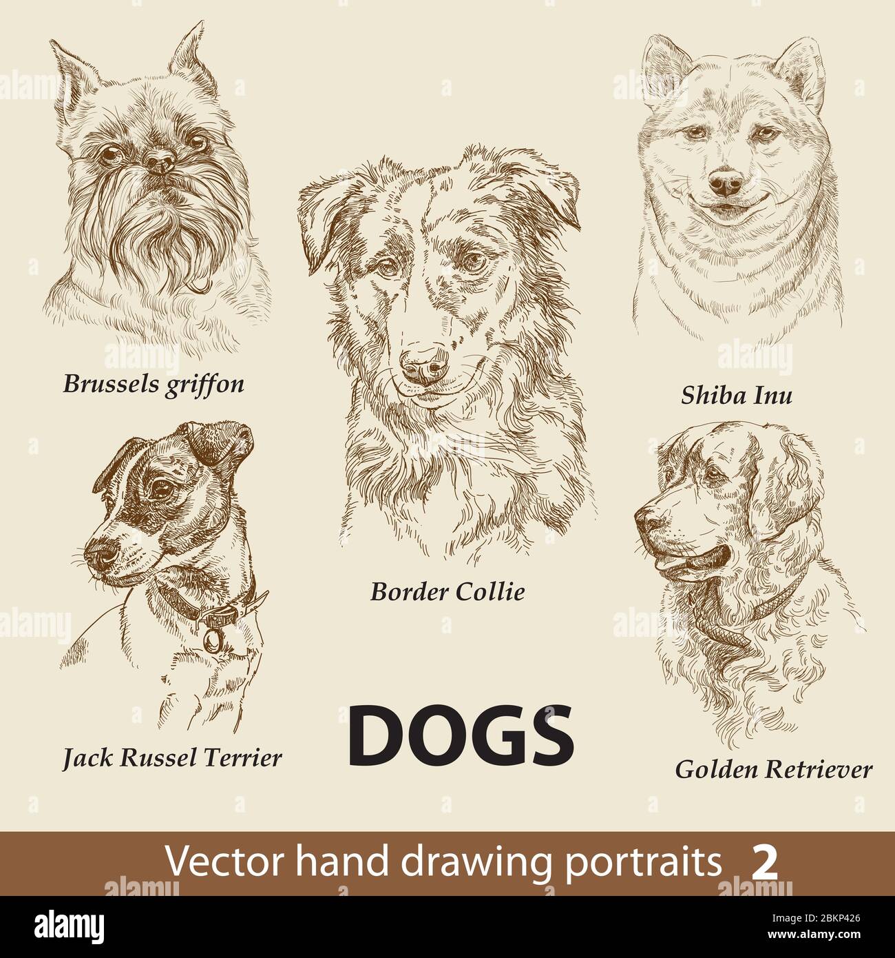 Set di disegno manuale di un carino cani razze. Testa dei cani isolata su sfondo beige. Matita mano disegnata ritratto realistico. Raccolta di animali. Ottimo per un prezzo molto buono Illustrazione Vettoriale