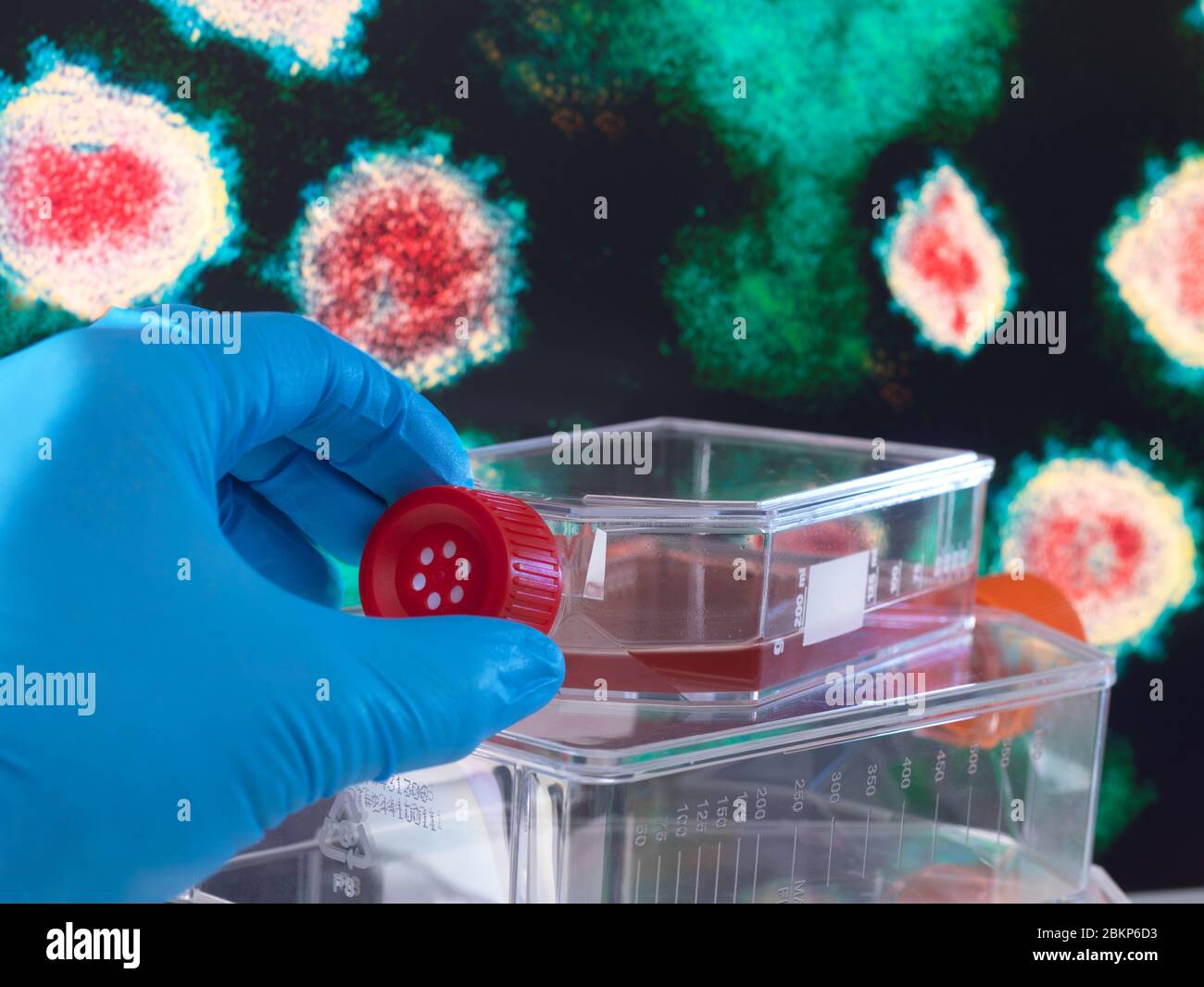 Ricerca farmaceutica su malattie e pandemie. Un vaso contenente cellule virali che siedono accanto ad un'immagine al microscopio elettronico della malattia. Foto Stock