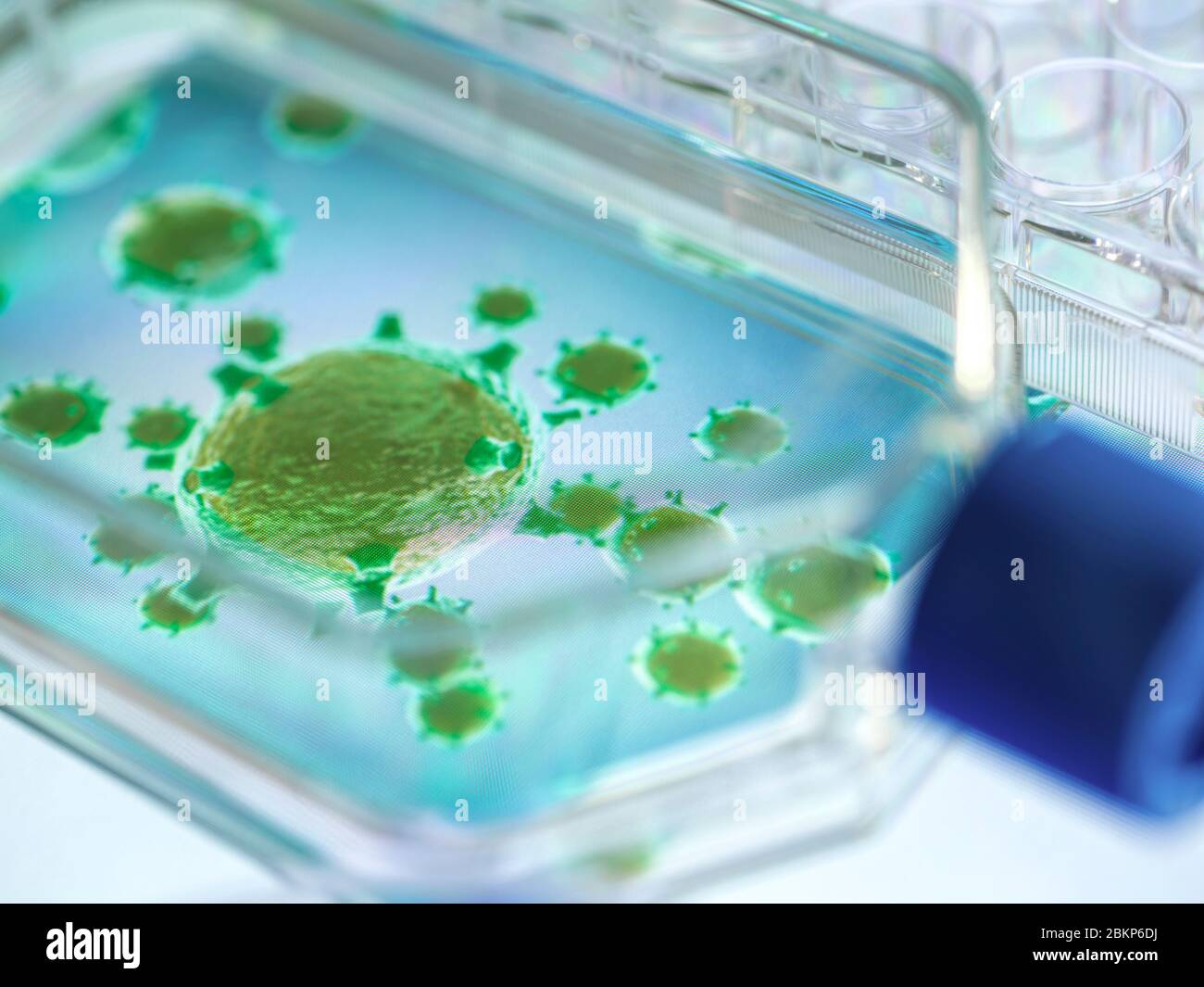 Ricerca farmaceutica su malattie e pandemie. Vista macro di un'immagine 3D di un virus contenuto in un vaso cellulare. Foto Stock