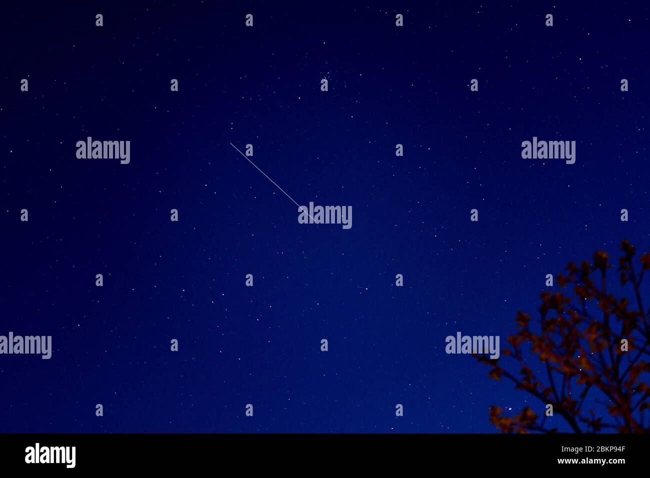 stelle e stelle cadenti di notte Foto Stock