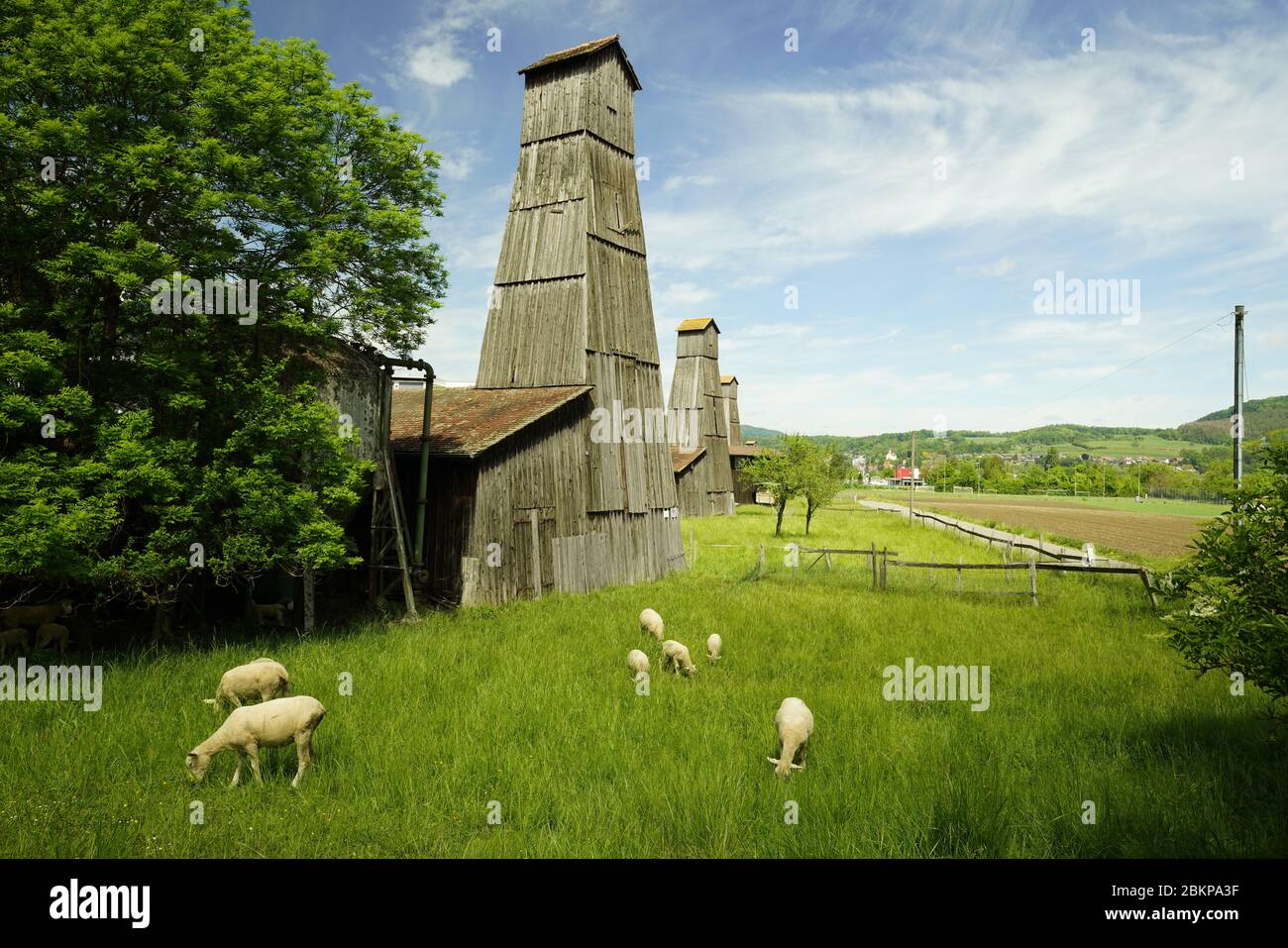 Torri di sale in legno vecchie e non in uso (stazioni di pompaggio) poste in fila nella campagna di Bad Zurzach, Canton Argovia, Svizzera. Foto Stock