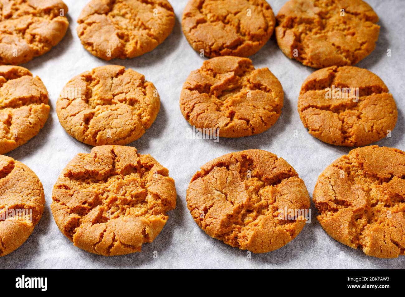 Biscotti appena fatti in casa con zenzero Foto Stock