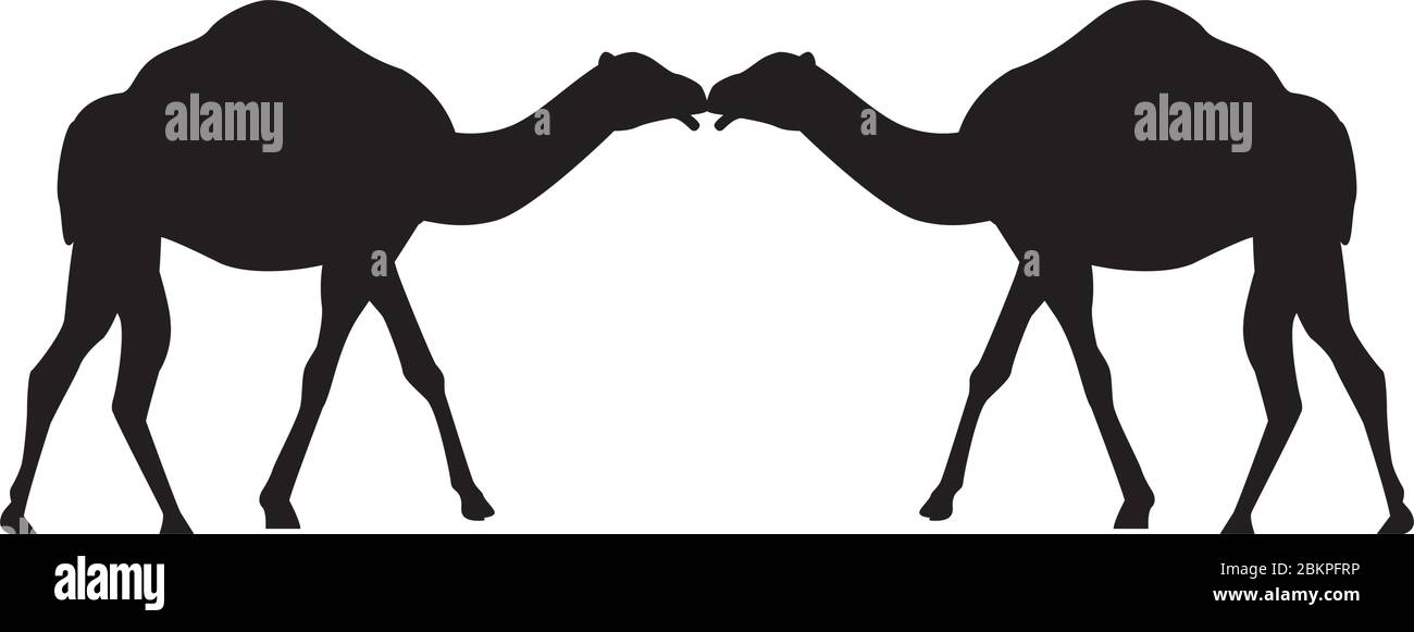 cammelli animali silhouette icone isolate Illustrazione Vettoriale