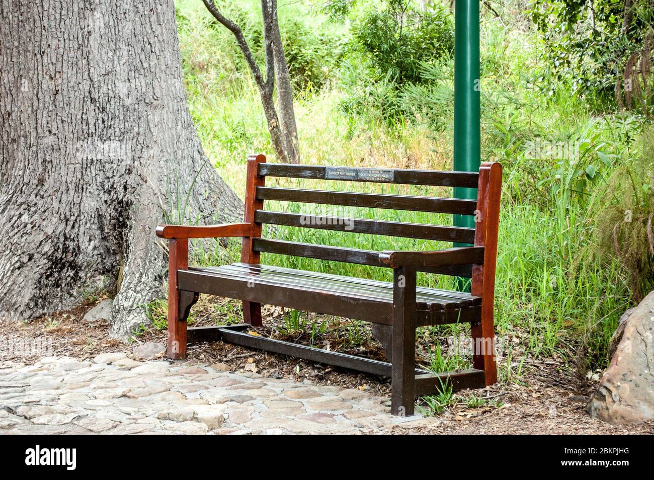 Una panca di legno che aspetta un passer vicino nel giardino botanico di Kirstenbosch. Foto Stock
