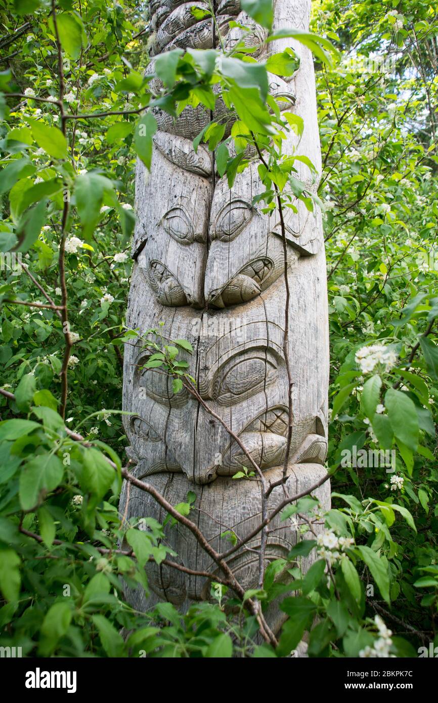 Un totem indigeno Haisla First Nation raffigurante foche che mangiano salmone, zona di Kitlope, costa del Pacifico settentrionale, vicino a Kitimat, British Columbia, Canada. Foto Stock