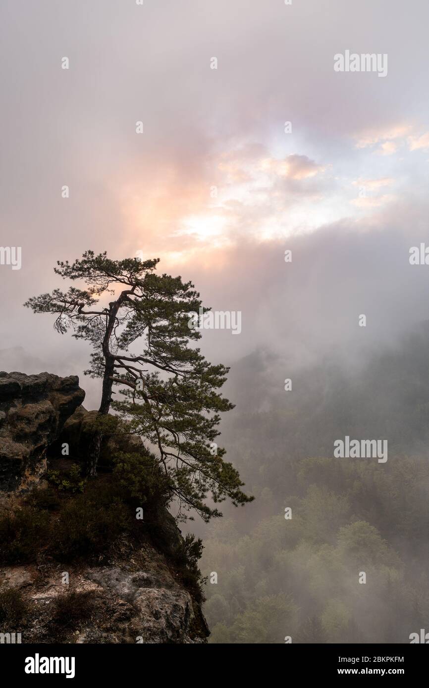 moody mattina in svizzera sassone, sassonia, germania Foto Stock