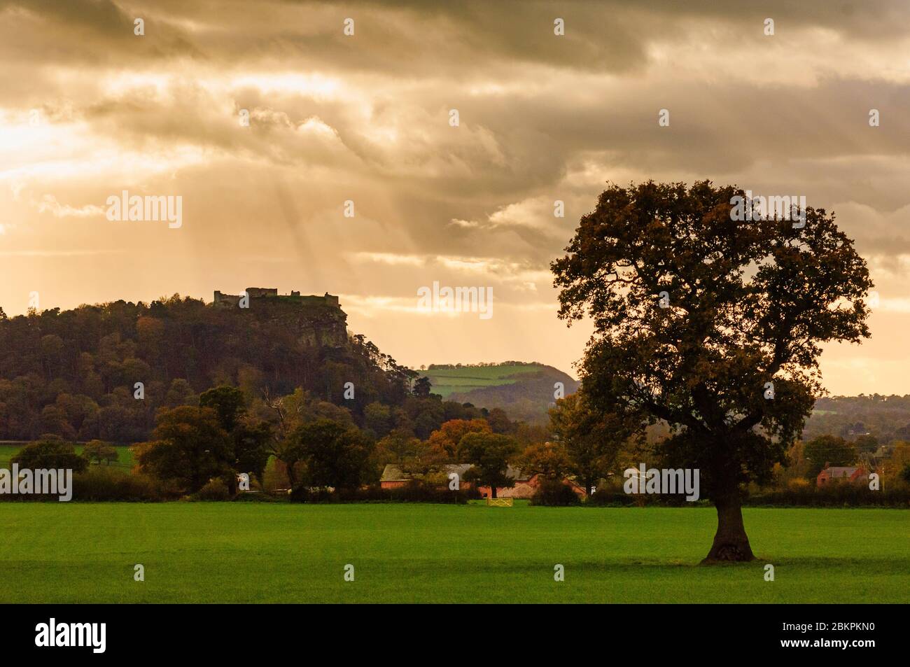 Vista verso stagliano Beeston Castle, Cheshire, Inghilterra Foto Stock