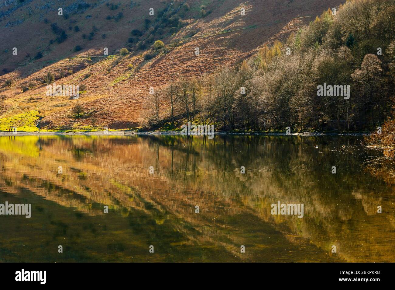 Riflessioni a Grasmere, Lake District, con camminatori sulla costa e sulla Loughrigg Terrace più in alto. Foto Stock