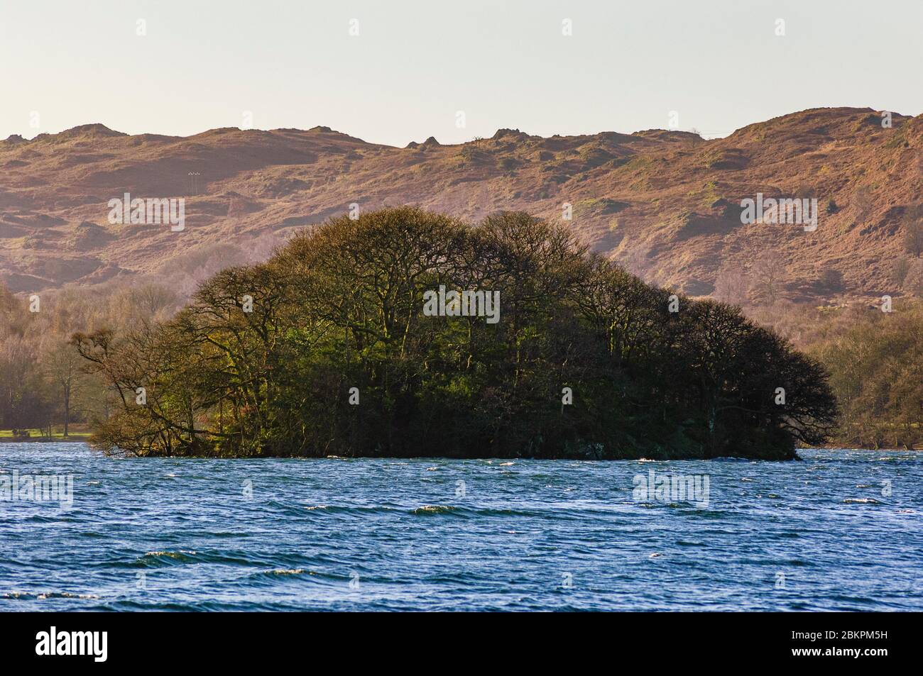 Peel Island on Coniston Water, Lake District, il modello principale per Wild Cat Island nei libri Arthur Ransome's Swallows e Amazons Foto Stock