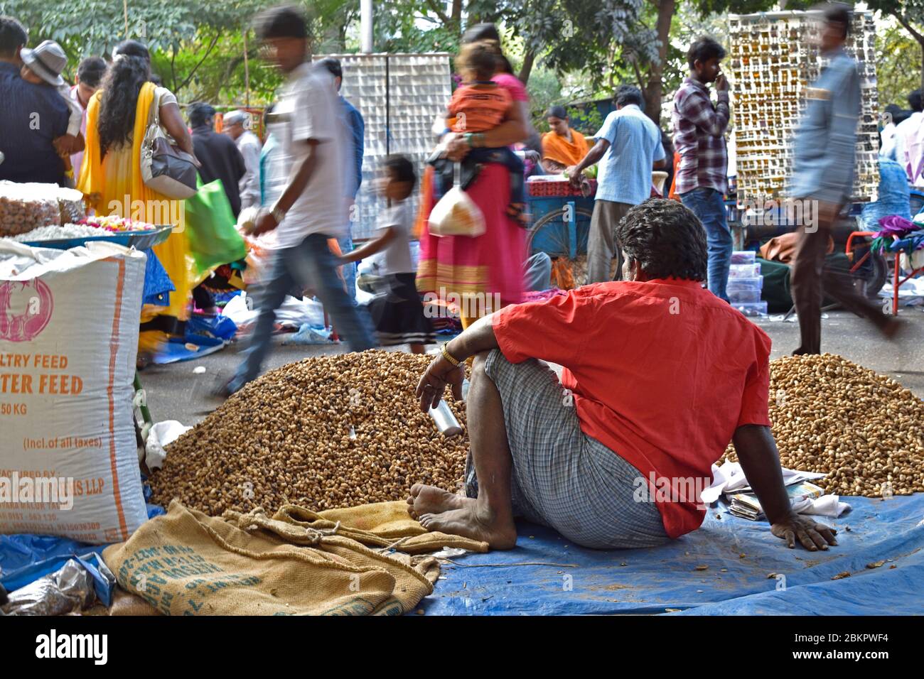 La fiera delle arachidi a Bangalore è un evento annuale che attira folle in migliaia. Foto Stock