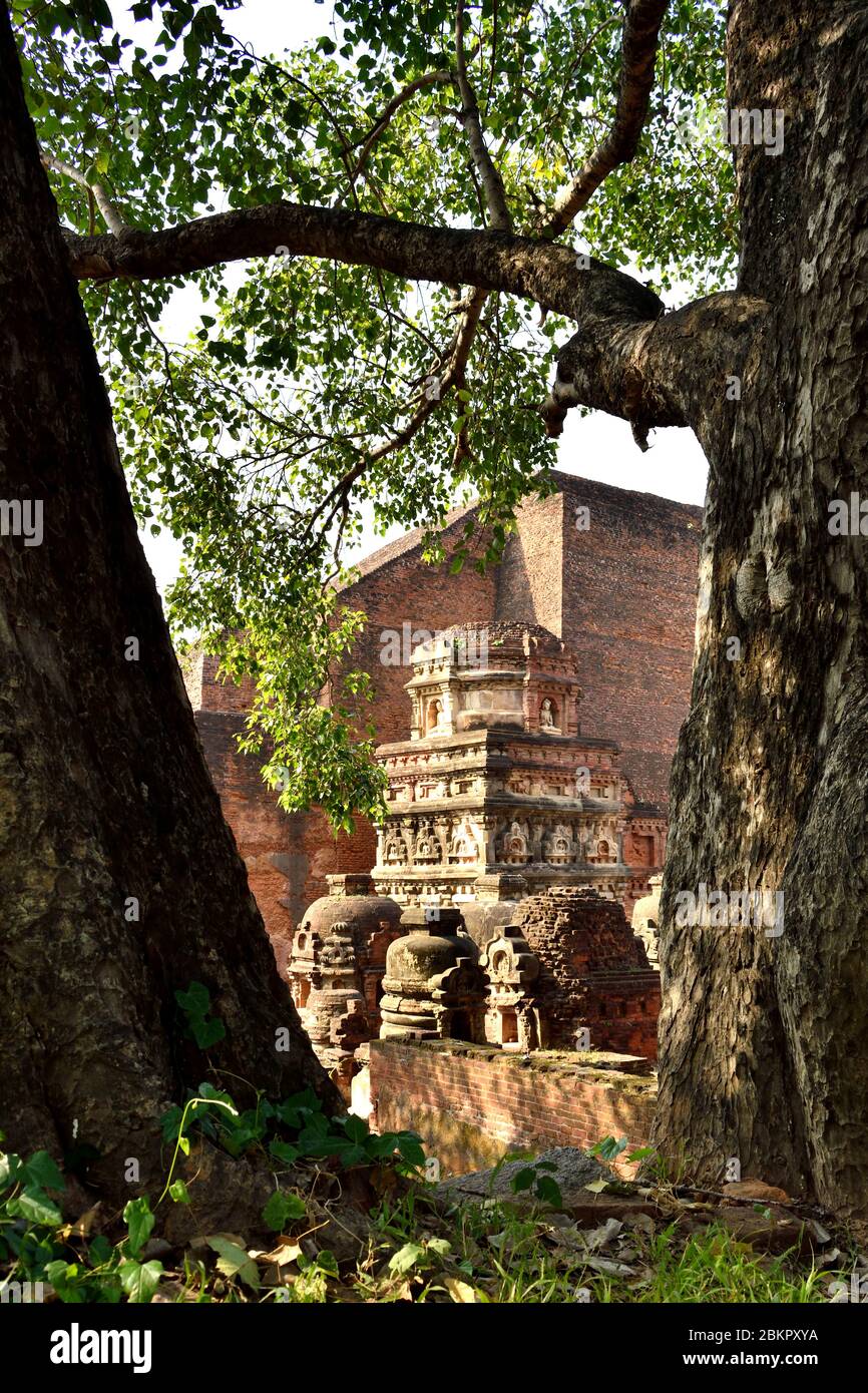 Rovine dell'antica Università di Nalanda a Nalanda, Bihar. Foto Stock