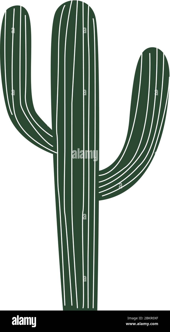 cactus deserto pianta isolata icona Illustrazione Vettoriale
