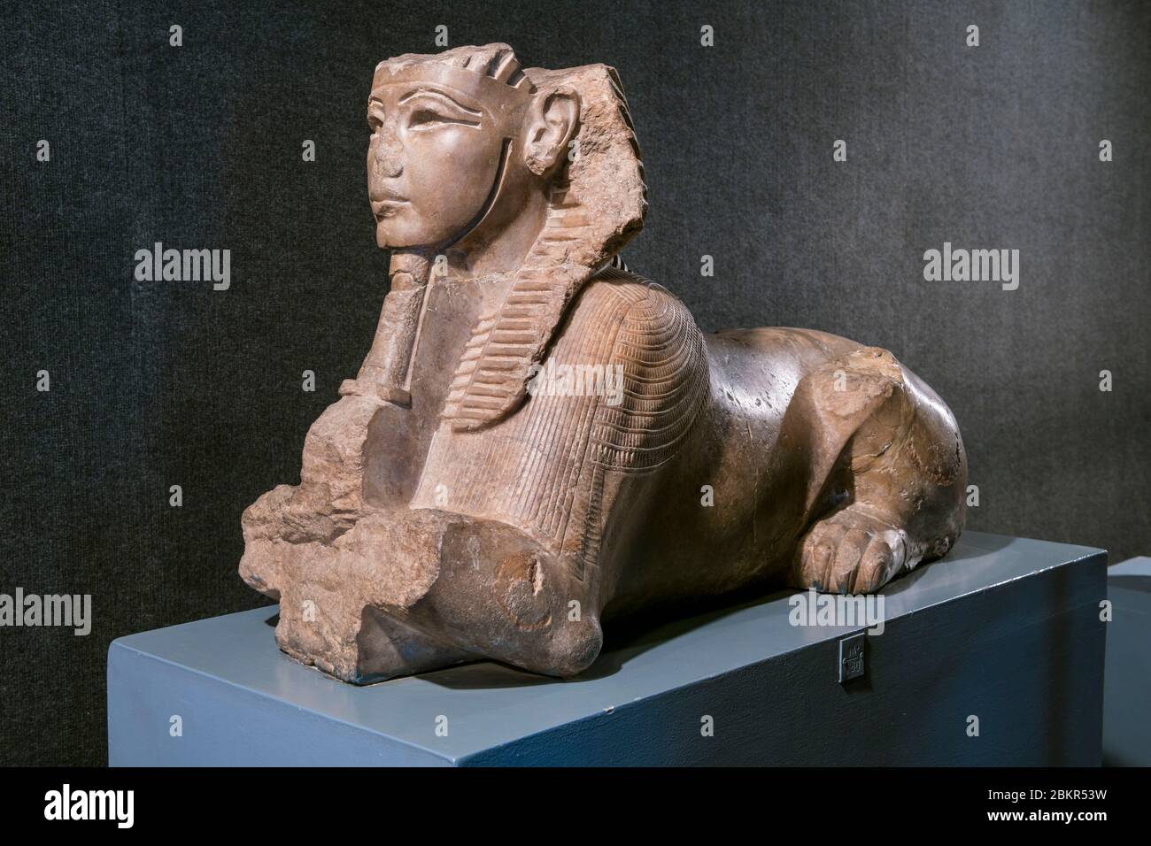 Egitto, Alto Egitto, valle del Nilo, Luxor, il museo di Luxor, la statua di Tutankhamun come sfinge che presenta le offerte Foto Stock