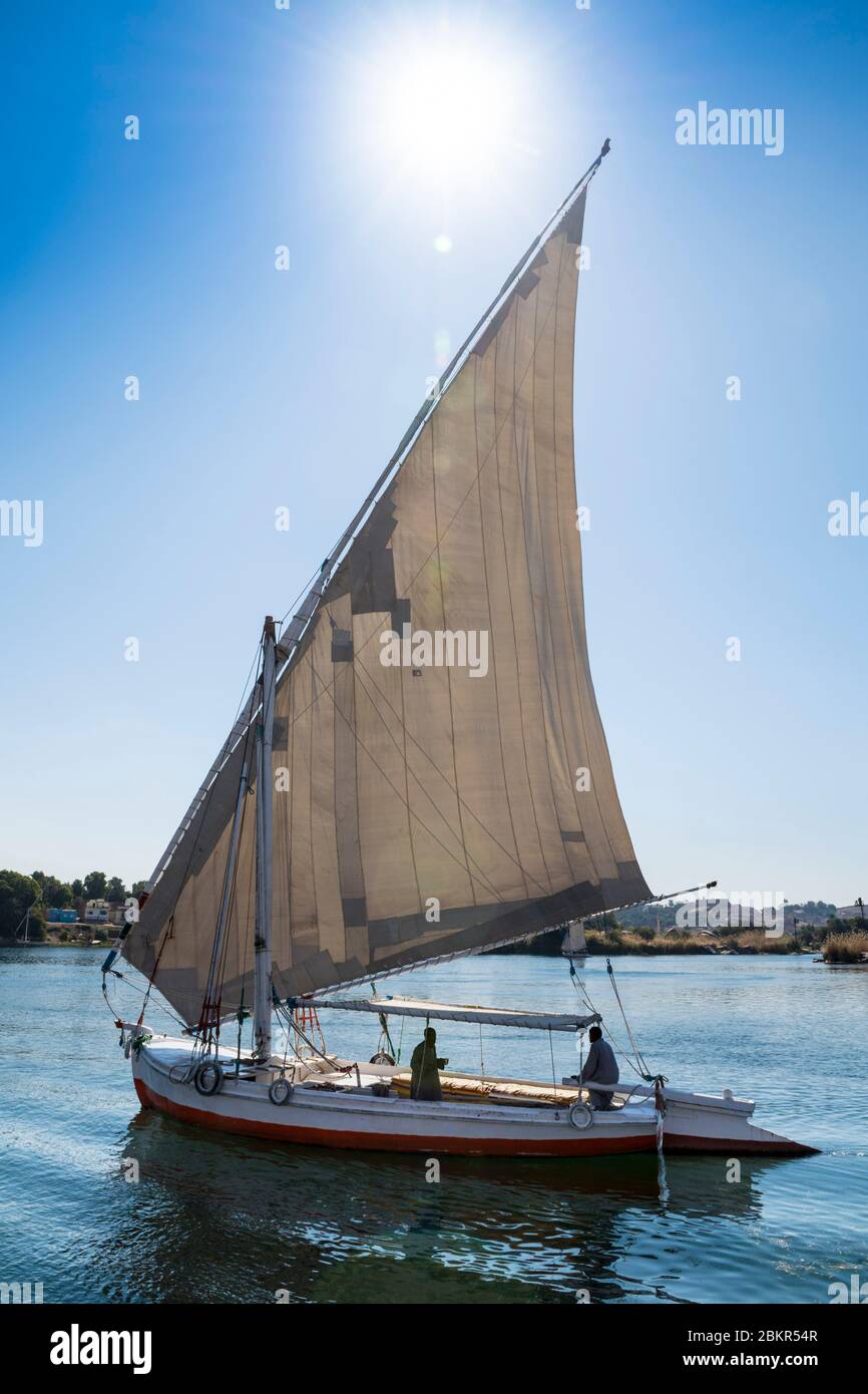 Egitto, Alto Egitto, vicino all'isola di Elefanina, marinaio su una feluca che naviga sul Nilo Foto Stock