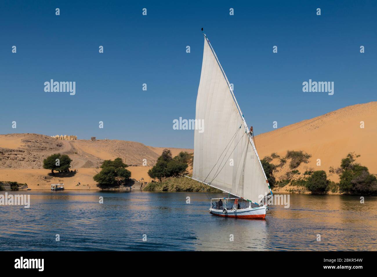 Egitto, Alto Egitto, vicino all'isola di Elefanina, marinaio su una feluca che naviga sul Nilo Foto Stock