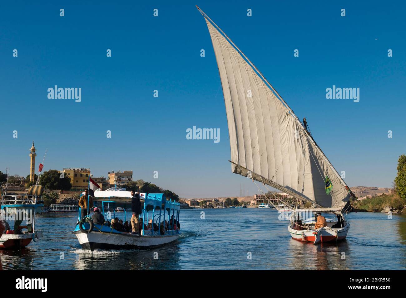 Egitto, Alto Egitto, vicino all'isola di Elefanina, marinaio su una feluca che naviga sul Nilo Foto Stock