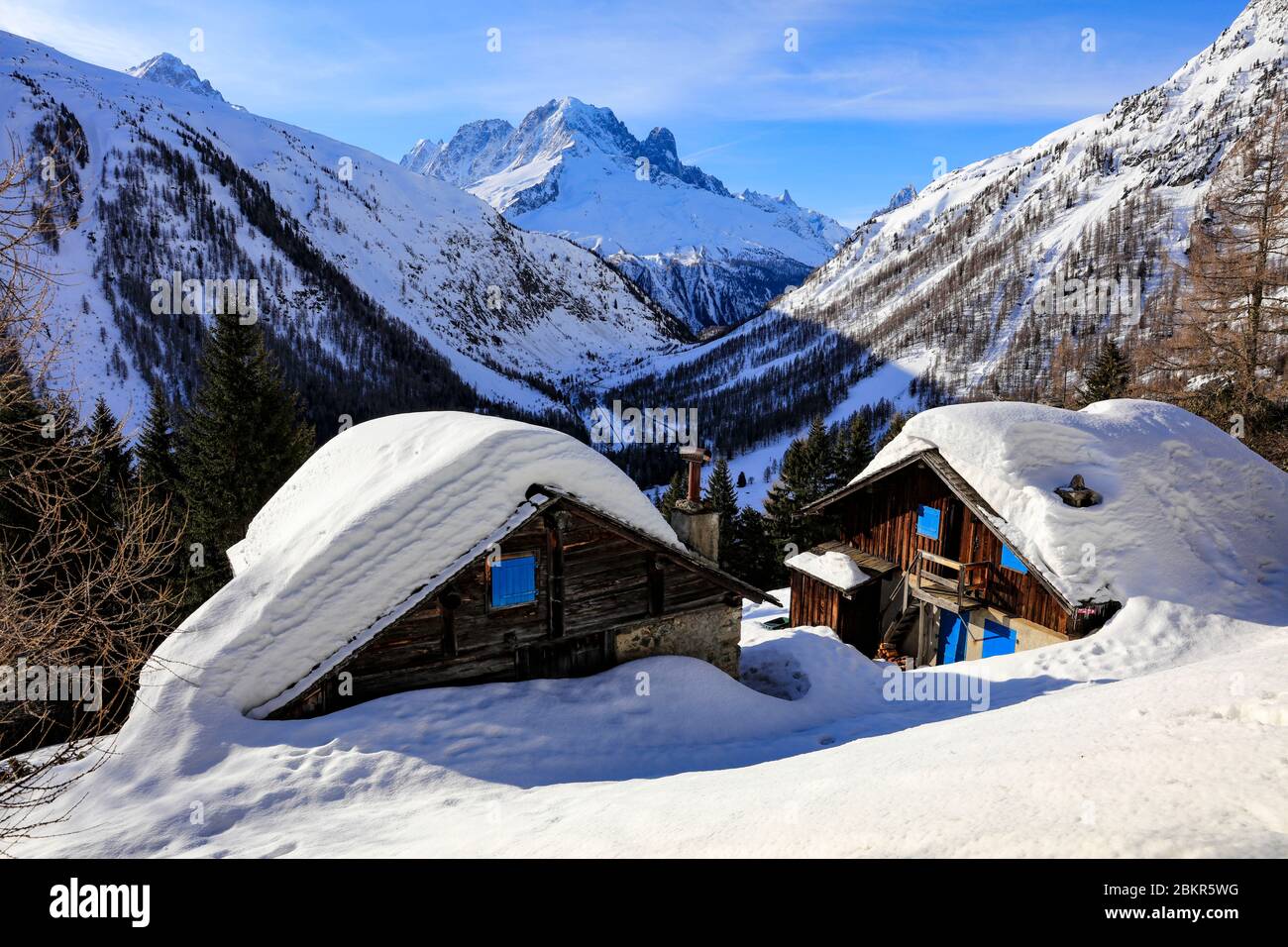 Francia, alta Savoia, Chamonix Mont Blanc, massiccio del Monte Bianco, salita al rifugio Loriaz, Foto Stock