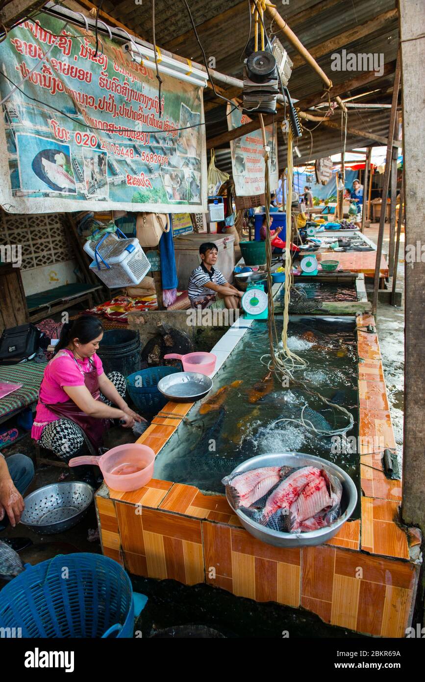 Laos, Luang Prabang città classificato patrimonio mondiale dell'UNESCO, venditori di pesce al mercato Foto Stock
