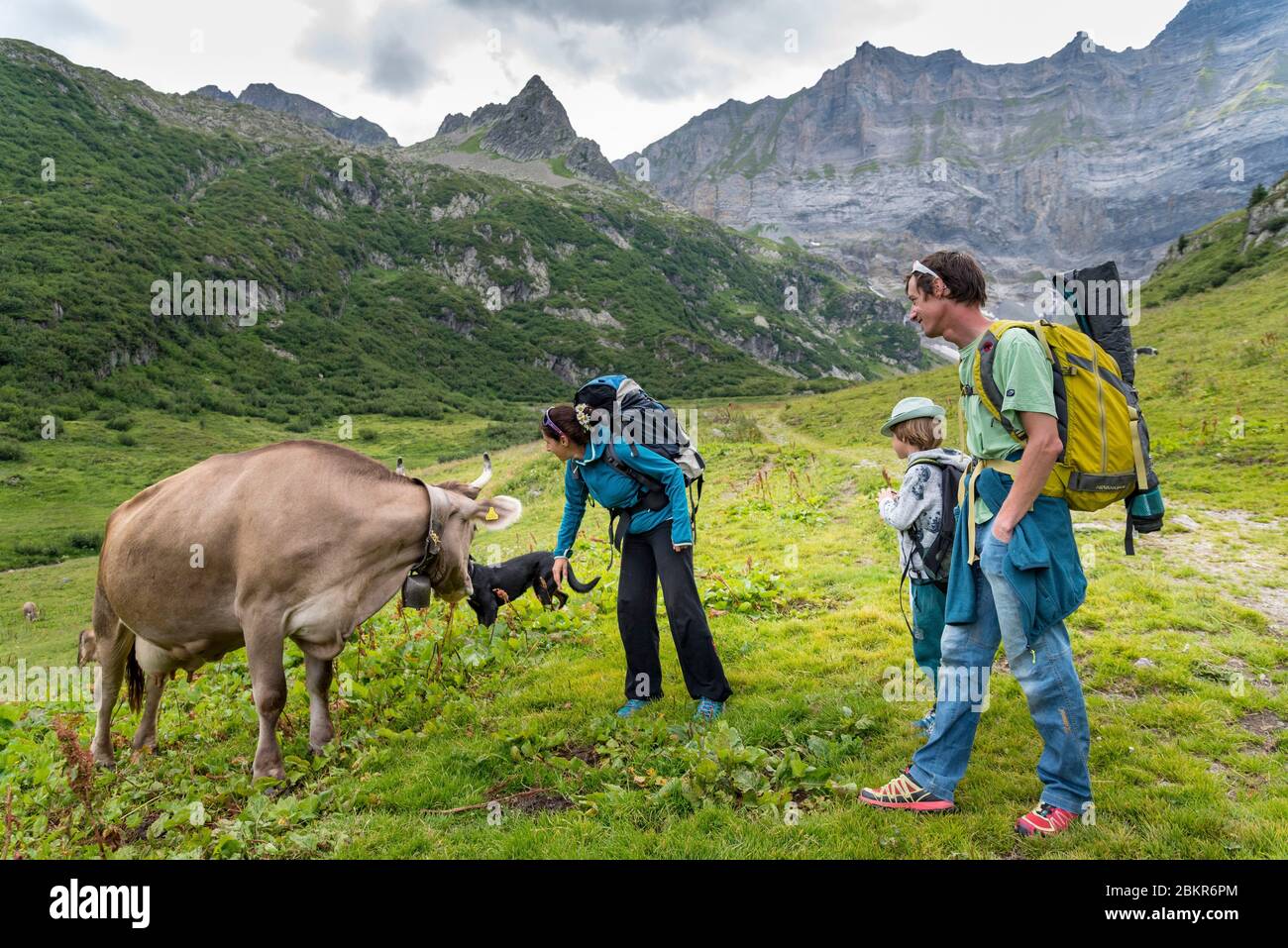 Svizzera, Vallese, Valle del Trient, Vallon d'Emaney, nel pascolo montano di Emaney Foto Stock