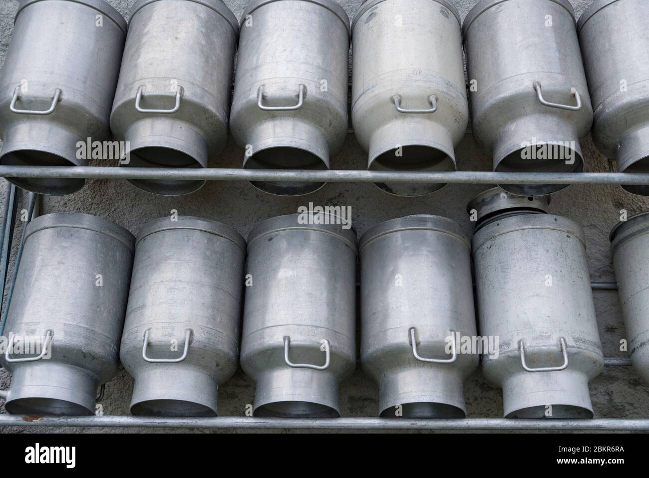 Svizzera, Vallese, Valle del Trient, Vallon d'Emaney, nel pascolo montano di Emaney Foto Stock