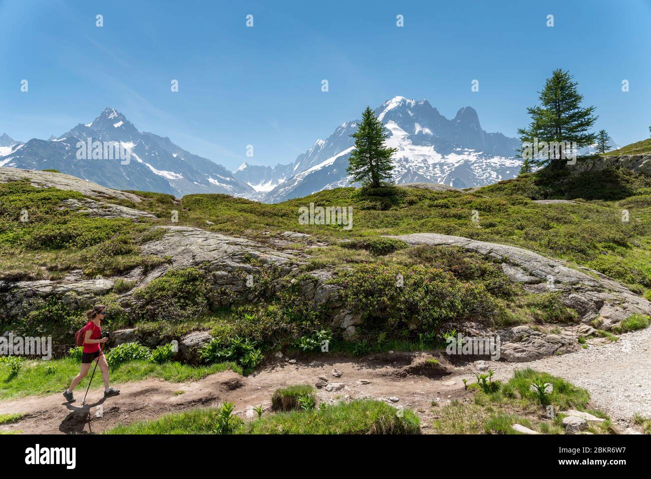 Francia, alta Savoia (74), Argenti?re, Lac de la Remuaz, escursionista sul GRP Tour du Pays du Mont-Blanc con l'Aiguille Verte (4122 m) e il Drus (3754 m) sullo sfondo Foto Stock