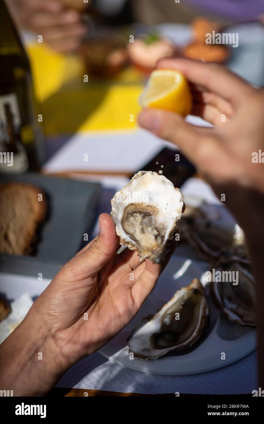 Francia, Finistere, Plougasnou, cicloturisti degustazione ostriche al porto di Terenez, lungo la strada marittima bicicletta Foto Stock