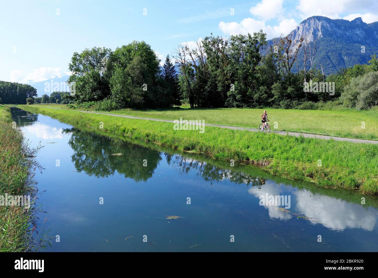 Svizzera, Cantone di Vaud, Noville, Lago di Ginevra, Riserva Grangettes Foto Stock