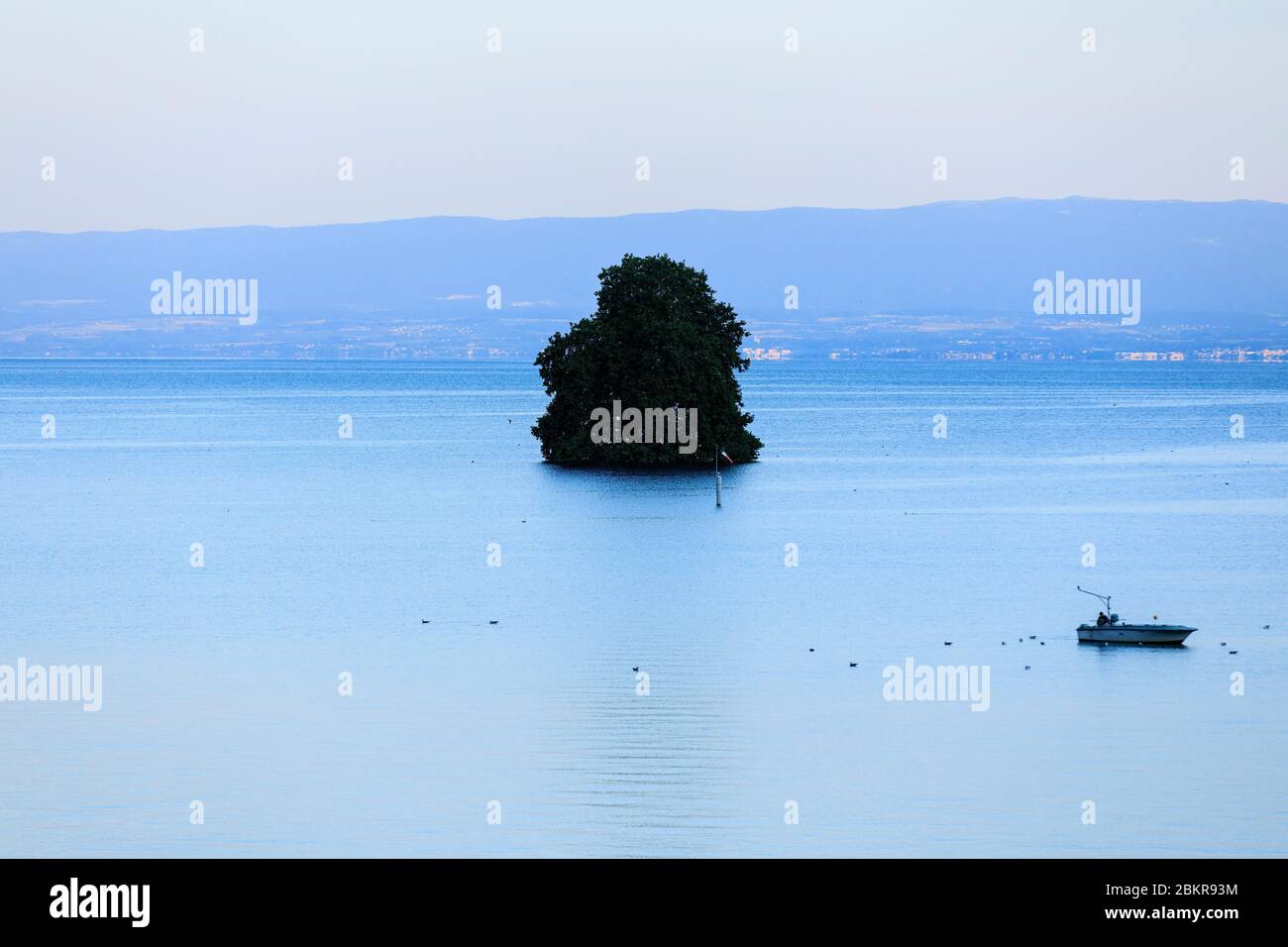 Svizzera, Cantone di Vaud, Villeneuve, Lago di Ginevra, isola di Peilz Foto Stock
