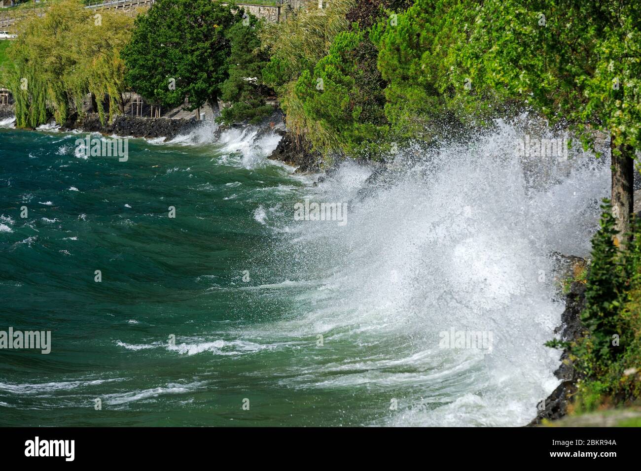 Svizzera, Canton du Vaud, Villeneuve, Lago di Ginevra, vento Foto Stock