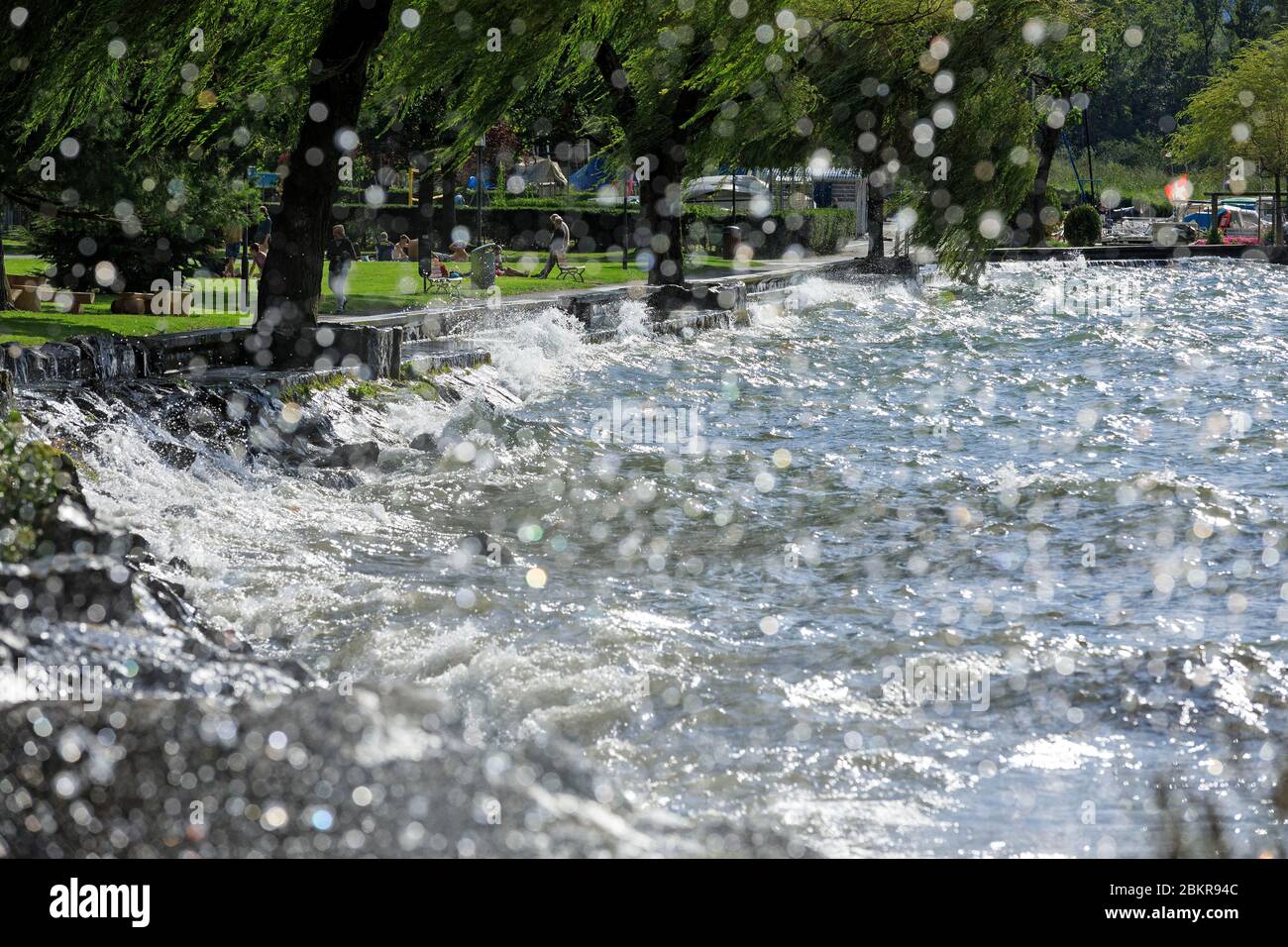Svizzera, Canton du Vaud, Villeneuve, Lago di Ginevra, vento Foto Stock