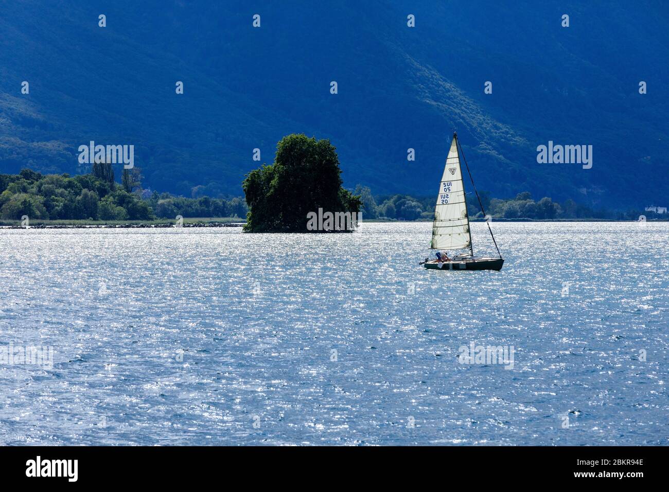 Svizzera, Canton Vaud, Villeneuve, Lago di Ginevra, Ile de Peilz, barca a vela Foto Stock
