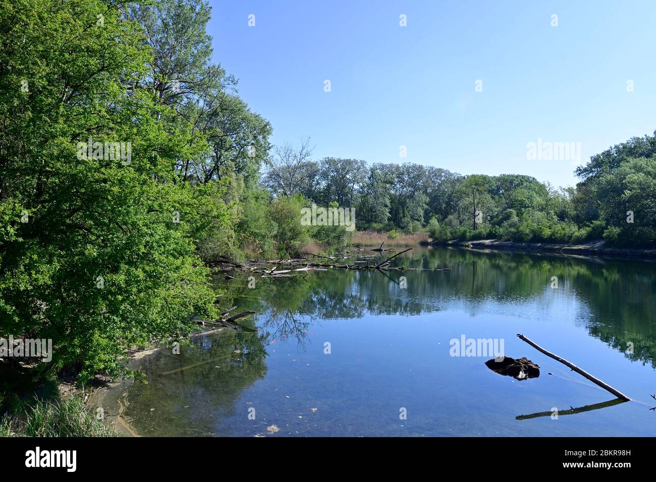 Vienna, Austria. Nationalpark Donau-Auen, il Lobau. Foto Stock