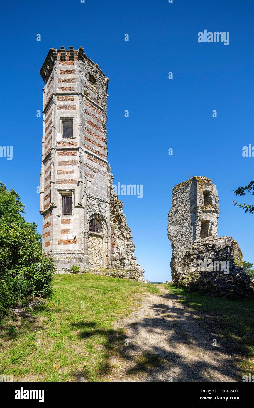 Francia, Yvelines, Montfort-l'Amaury, Anne della Torre di Bretagna Foto Stock