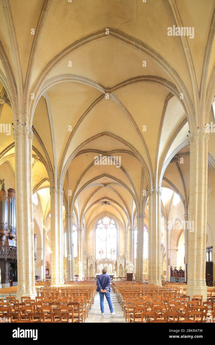 Francia, Haute Vienne, Limoges, Saint Michel des Lions chiesa di stile gotico e costruita tra il XIV e XVI secolo, la navata centrale Foto Stock