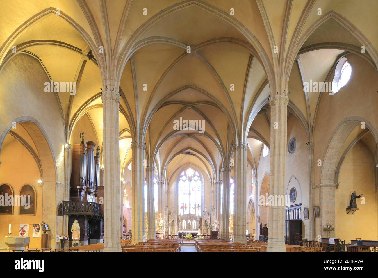 Francia, Haute Vienne, Limoges, Saint Michel des Lions chiesa di stile gotico e costruita tra il XIV e XVI secolo, la navata centrale Foto Stock