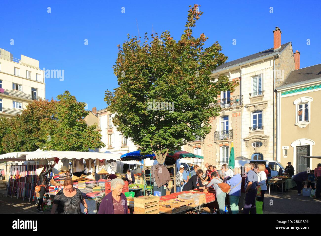 Francia, Haute Vienne, Limoges, Carnot Marceau distretto, Place Marceau, mercato settimanale Foto Stock
