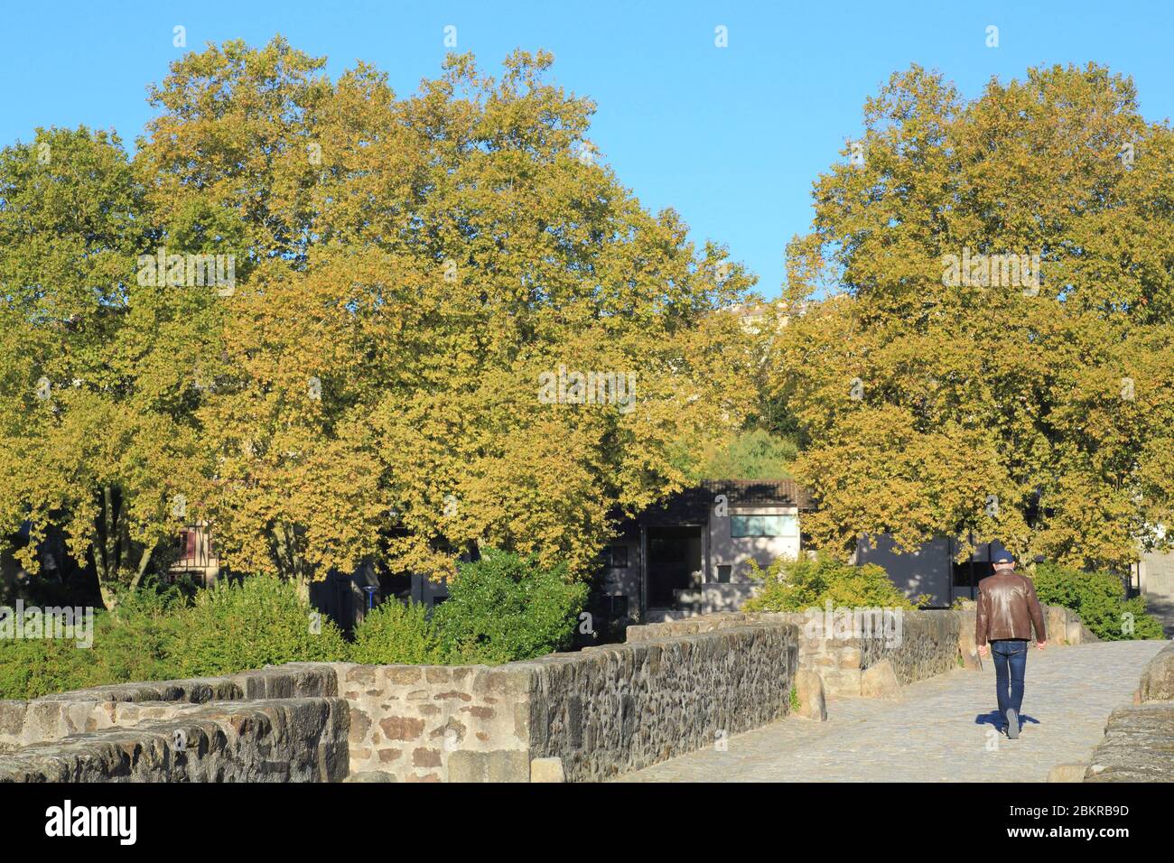 Francia, Haute Vienne, Limoges, ponte Saint Etienne (13 ° secolo) costruito sulla Vienne Foto Stock