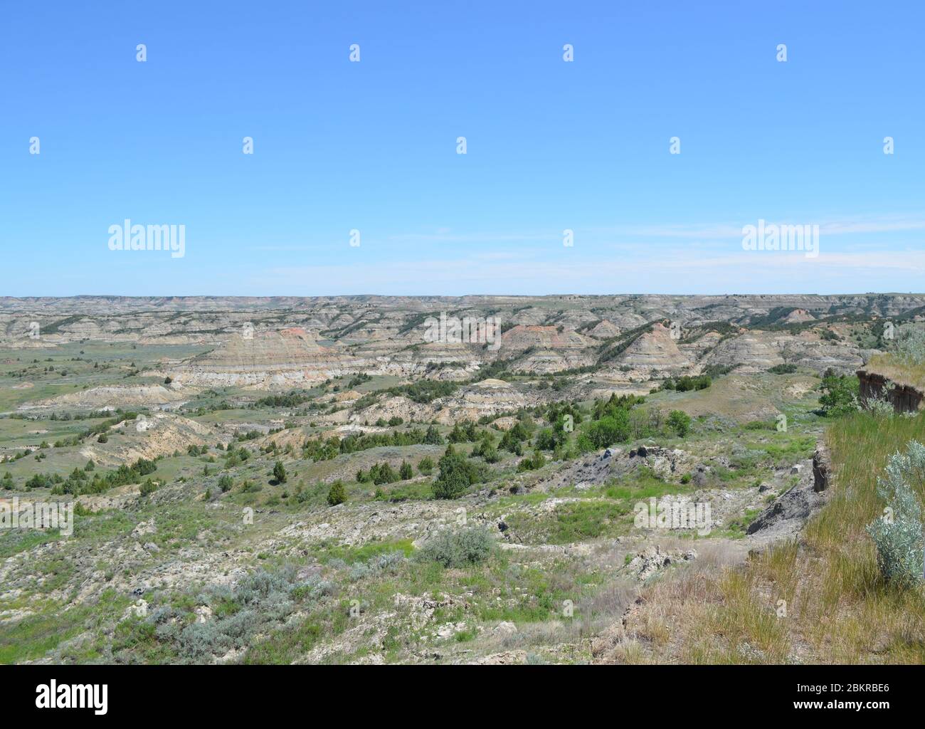 Tarda primavera nel North Dakota Badlands: Guardando a est per Painted Canyon nell'unità meridionale del Theodore Roosevelt National Park Foto Stock