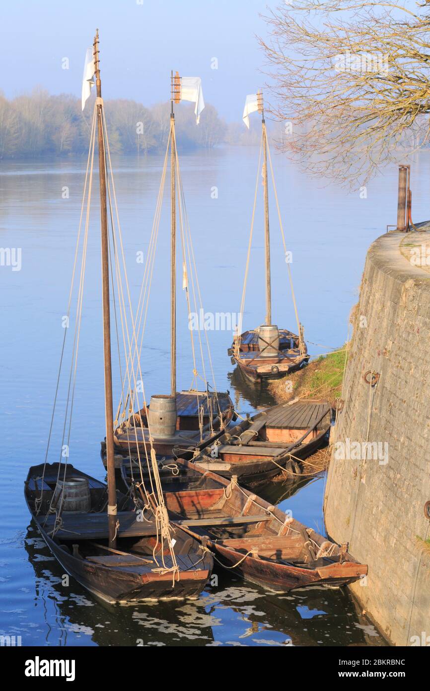 Francia, Loiret, Combleux, comune situato nel perimetro della Valle della Loira, patrimonio mondiale dell'UNESCO, porto sulla Loira con le sue tradizionali barche Loira con fondo piatto chiamato futreaux Foto Stock