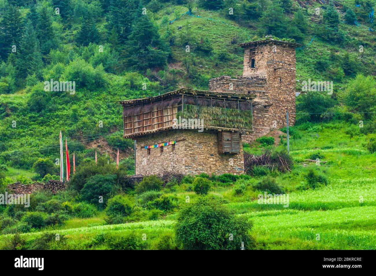 Cina, Tibet orientale, o Kham, Gyarong gole, villaggi e fattorie con architettura tradizionale Foto Stock