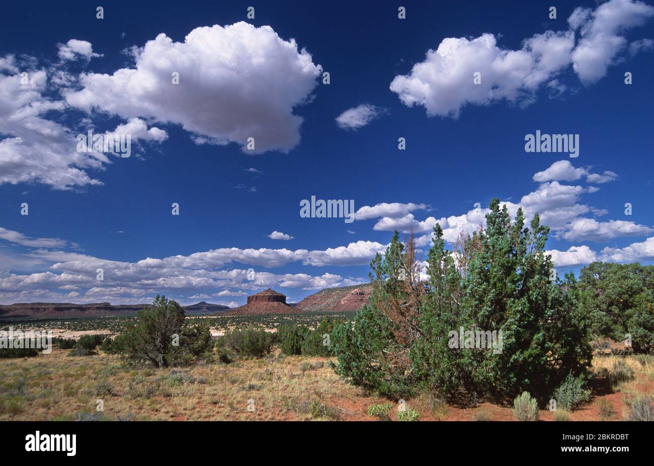 Cheese Box Butte, Bicentennial Highway, San Juan County, Utah Foto Stock