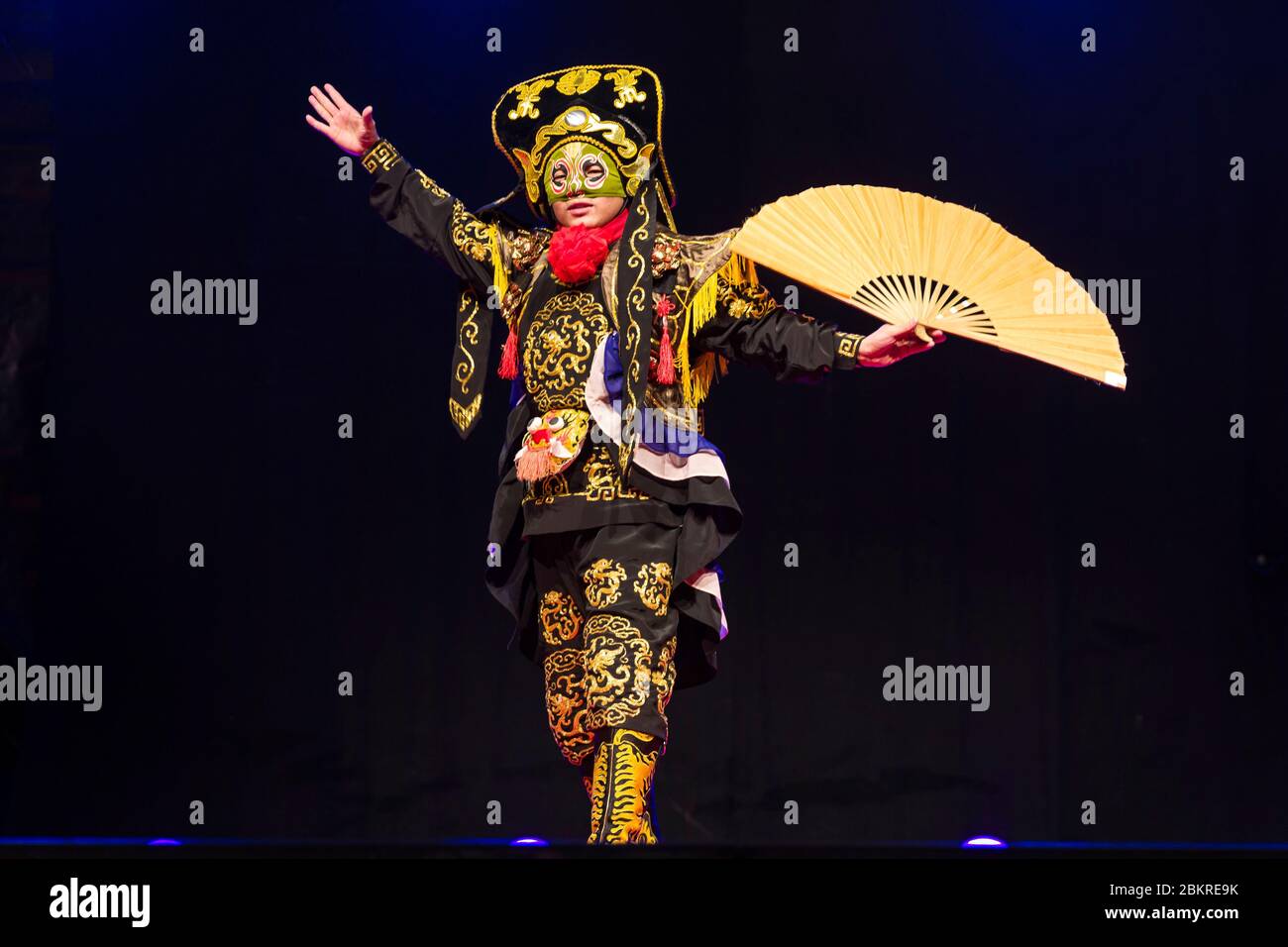 Francia, Loir-et-Cher, castello di Selles-sur-Cher, festival delle luci celesti, spettacolo di Bian Lian Foto Stock