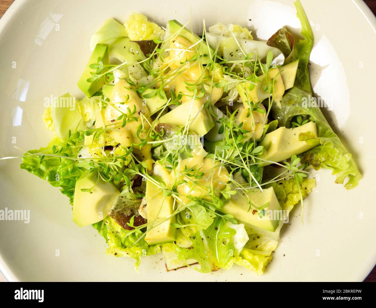 Insalata verde fresca di foglie di lattuga miste con pezzi di avocado e maionese fatte in casa con una guarnitura di cress Foto Stock