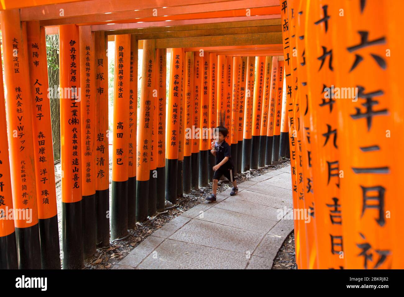 Giappone, Isola di Honshu, Regione di Kansai, Kyoto, distretto di Fushimi ku, santuario di le Fushimi Inari taisha, cancello o torii Foto Stock