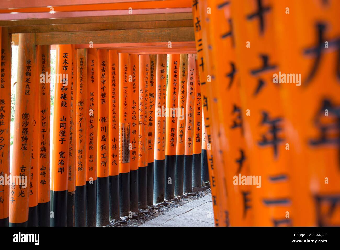 Giappone, Isola di Honshu, Regione di Kansai, Kyoto, distretto di Fushimi ku, santuario di le Fushimi Inari taisha, cancello o torii Foto Stock